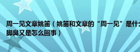 周一见文章姚笛（姚笛和文章的“周一见”是什么意思杨幂脚臭又是怎么回事）