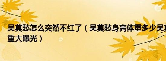 吴莫愁怎么突然不红了（吴莫愁身高体重多少吴莫愁身高体重大曝光）