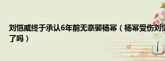 刘恺威终于承认6年前无奈娶杨幂（杨幂受伤刘恺威去医院了吗）