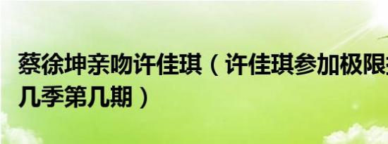 蔡徐坤亲吻许佳琪（许佳琪参加极限挑战是第几季第几期）