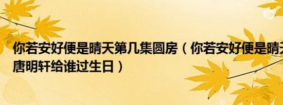 你若安好便是晴天第几集圆房（你若安好便是晴天电视剧里唐明轩给谁过生日）