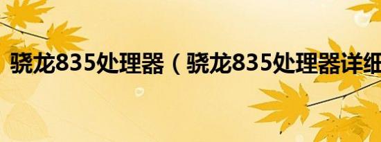 骁龙835处理器（骁龙835处理器详细参数）