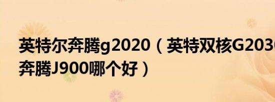 英特尔奔腾g2020（英特双核G2030和四核奔腾J900哪个好）