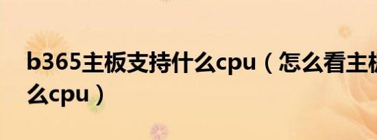 b365主板支持什么cpu（怎么看主板支持什么cpu）