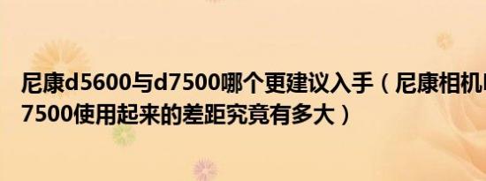 尼康d5600与d7500哪个更建议入手（尼康相机D5600和D7500使用起来的差距究竟有多大）