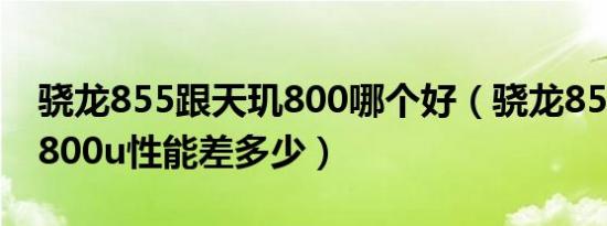 骁龙855跟天玑800哪个好（骁龙855和天玑800u性能差多少）