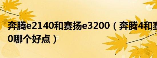 奔腾e2140和赛扬e3200（奔腾4和赛扬E3200哪个好点）