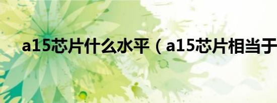 a15芯片什么水平（a15芯片相当于i几）