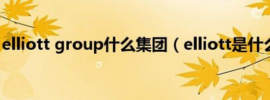 elliott group什么集团（elliott是什么公司）