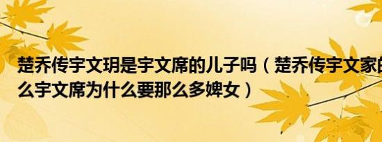 楚乔传宇文玥是宇文席的儿子吗（楚乔传宇文家的家丑是什么宇文席为什么要那么多婢女）