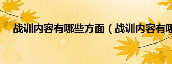 战训内容有哪些方面（战训内容有哪些）