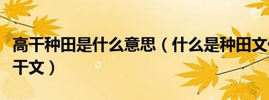 高干种田是什么意思（什么是种田文什么是高干文）