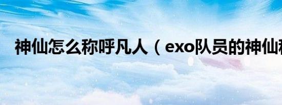 神仙怎么称呼凡人（exo队员的神仙称呼）