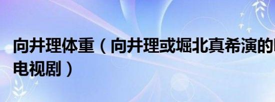 向井理体重（向井理或堀北真希演的哪些好看电视剧）