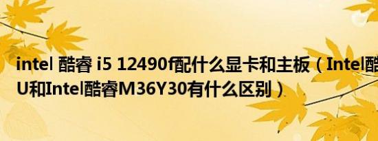 intel 酷睿 i5 12490f配什么显卡和主板（Intel酷睿i5 6300U和Intel酷睿M36Y30有什么区别）