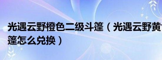 光遇云野橙色二级斗篷（光遇云野黄色二级斗篷怎么兑换）