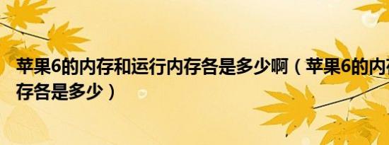 苹果6的内存和运行内存各是多少啊（苹果6的内存和运行内存各是多少）