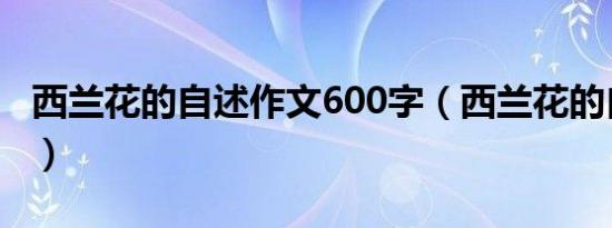 西兰花的自述作文600字（西兰花的自述作文）