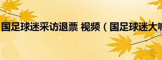 国足球迷采访退票 视频（国足球迷大喊退钱）