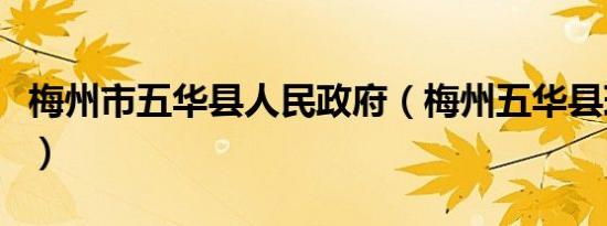 梅州市五华县人民政府（梅州五华县球王故里）