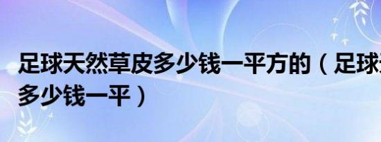 足球天然草皮多少钱一平方的（足球天然草皮多少钱一平）