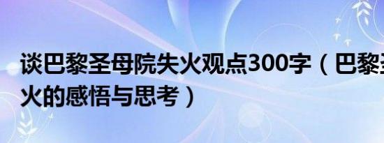 谈巴黎圣母院失火观点300字（巴黎圣母院大火的感悟与思考）