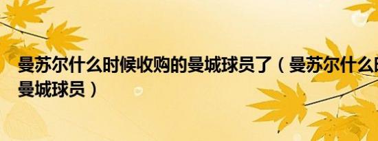 曼苏尔什么时候收购的曼城球员了（曼苏尔什么时候收购的曼城球员）