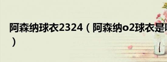 阿森纳球衣2324（阿森纳o2球衣是哪个赛季）