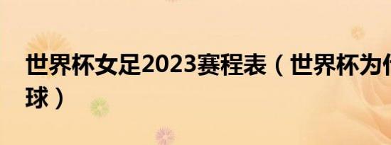 世界杯女足2023赛程表（世界杯为什么要让球）