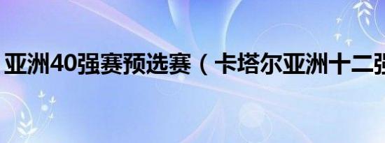 亚洲40强赛预选赛（卡塔尔亚洲十二强赛程）