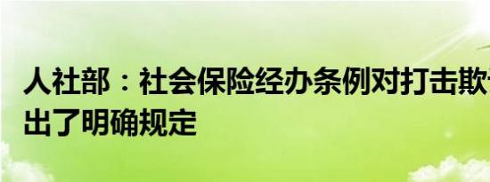 人社部：社会保险经办条例对打击欺诈骗保作出了明确规定