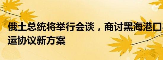 俄土总统将举行会谈，商讨黑海港口农产品外运协议新方案