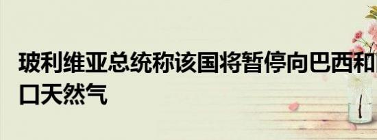 玻利维亚总统称该国将暂停向巴西和阿根廷出口天然气