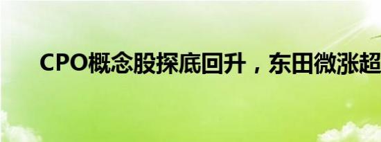 CPO概念股探底回升，东田微涨超8%