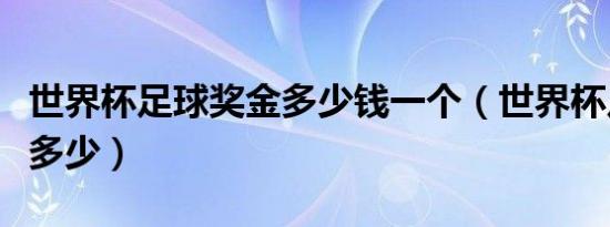 世界杯足球奖金多少钱一个（世界杯足球奖金多少）