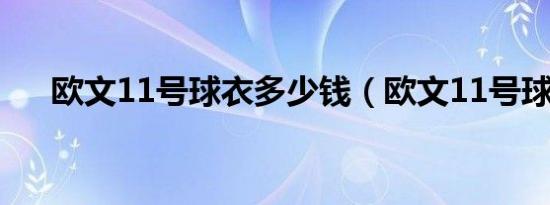 欧文11号球衣多少钱（欧文11号球衣）