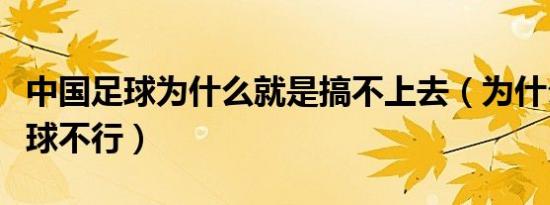 中国足球为什么就是搞不上去（为什么中国足球不行）