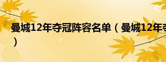 曼城12年夺冠阵容名单（曼城12年夺冠阵容）