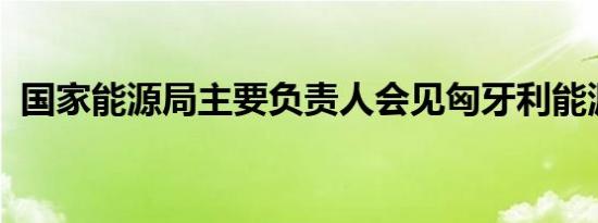 国家能源局主要负责人会见匈牙利能源部长