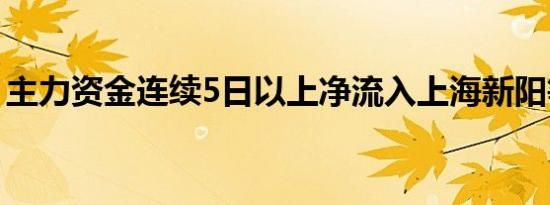 主力资金连续5日以上净流入上海新阳等70股