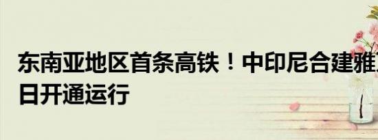 东南亚地区首条高铁！中印尼合建雅万高铁今日开通运行