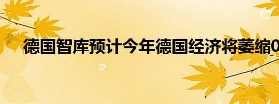 德国智库预计今年德国经济将萎缩0.4%