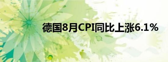 德国8月CPI同比上涨6.1%