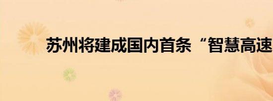 苏州将建成国内首条“智慧高速”