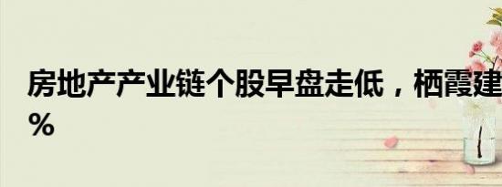 房地产产业链个股早盘走低，栖霞建设跌超8%