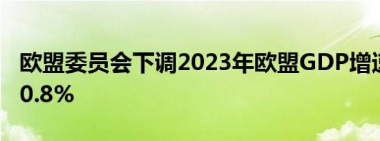 欧盟委员会下调2023年欧盟GDP增速预期至0.8%