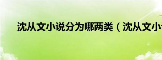 沈从文小说分为哪两类（沈从文小说）