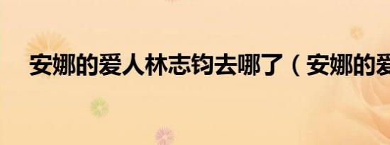 安娜的爱人林志钧去哪了（安娜的爱人）