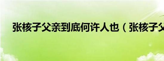 张核子父亲到底何许人也（张核子父亲）