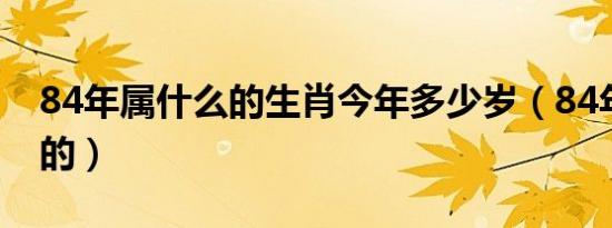 84年属什么的生肖今年多少岁（84年属什么的）